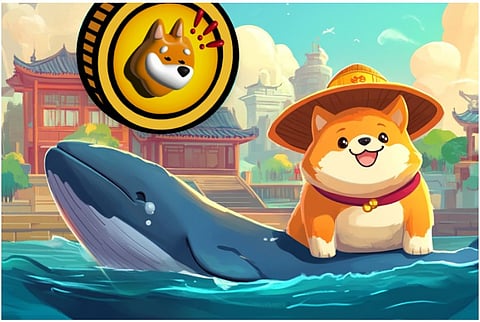 Can ChowWow Beat Bonk and Pepe in the Long Run