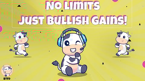 Top New Meme Coins to Join for Long Term