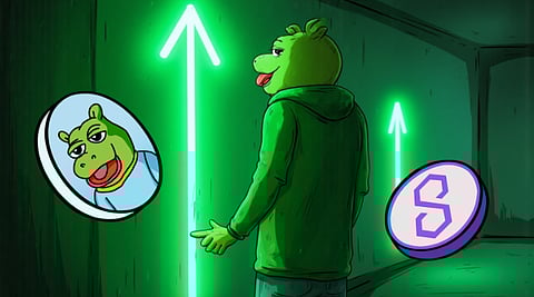 Meme Coin Showdown: 3 Projects With The Best Growth Potential For 2025