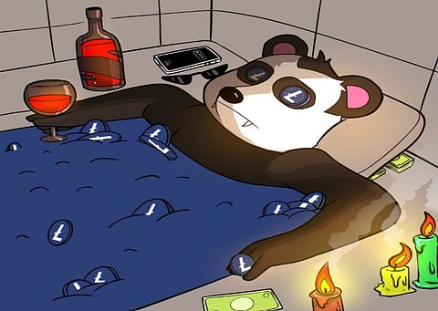 Litecoin Holder Who Predicted Shiba Inu Rise Says Panshibi