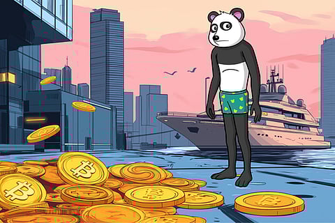 The Bitcoin (BTC) Online Forum Has An Internal Vote Choosing Panshibi (SHIBI) As Best Choice Presale 2025