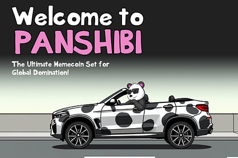 Ripple Price Prediction: XRP Could See 50% Falls This Year As Investors Turn To New Viral Meme Panshibi (SHIBI)