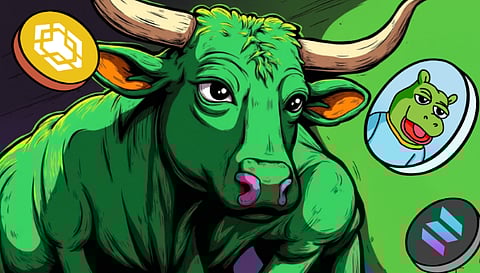 Why FloppyPepe (FPPE) Beats BNB And Solana (SOL) As The Top Pick For The 2025 Crypto Bull Run