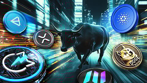 Best Crypto to Invest in Today | Get These Coins Before the Next Bull Run or Altseason