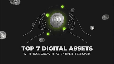 Best-Performing Crypto Assets to Buy in Feb 2025: Top 7 Picks for Maximum Gains
