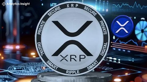 Should You Invest in XRP in 2025? A Risk Analysis