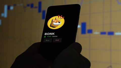 Could This Meme Coin Be the Next Bonk? Early Investors Are Loading Up