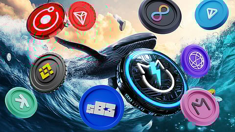 Best Crypto to Invest In Now | Top Early Stage Crypto Whales Coins are Secretly Buying