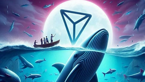 Shiba Inu (SHIB) Continuous Tumble Could Be Panshibi (SHIBI)'s Time To Rise: Toncoin Whale Bets Big On 100x Presale