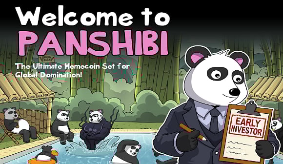 FLOKI Growth Is Being Replicated In Panshibi (SHIBI), Which Is Looking Like  The Best Pick Crypto Gainer 2025