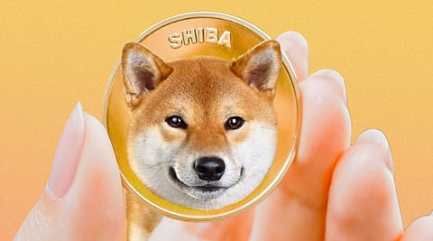 Shiba Inu (SHIB) Investors Rush to Panshibi (SHIBI): Why Is This Meme Coin Selling Out So Fast?
