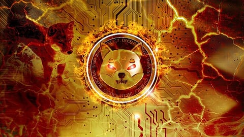 Shiba Inu Crypto Surge Imminent, Says Top Analyst, as Panshibi (SHIBI) Viral Meme Takeoff Sends Asian Fans Wild – 15x Predicted