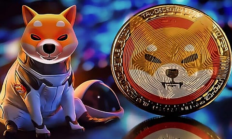 Shiba Inu Price Predicted To Crash 40% More Says Top Expert