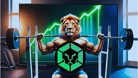 Could BinoFi (BINO) Take Over XRP in the Top 20 Tokens in the Market?
