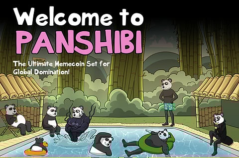 Pepecoin & Dogecoin Lead the Meme Coin Market But Panshibi Presale Investors Position Themselves for High Returns This March

