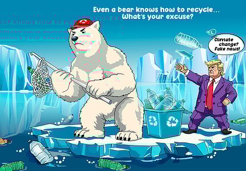 "Greenland Rare Bear NORDO: The Meme Coin Revolution Challenging Trump, Climate Issues & Crypto Trends"