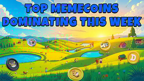 Discover the 5 Best Meme Coins in March 2025: Don’t Miss Out on These Hot Picks!