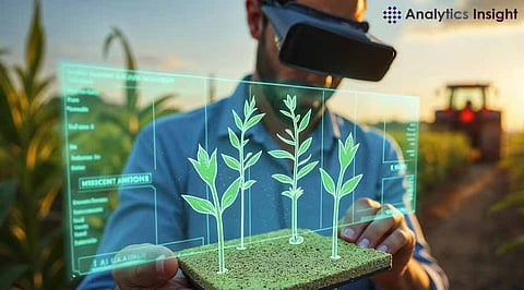 Green AI: 5 Ways to Make Data Science More Eco-Friendly