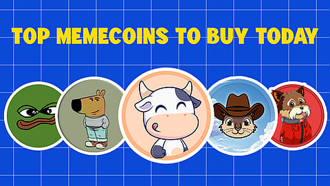 top meme coins for long-term gains