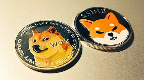 Can Dogecoin (DOGE) and Shiba Inu (SHIB)