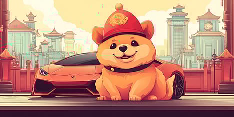 NEW 3 Reasons Why Dogecoin & Floki Investors are Diversifying Into ChowWow!