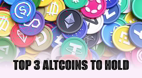 Don’t Miss Out:3 Best Coins to Buy for March 2025 With Real-World Potential