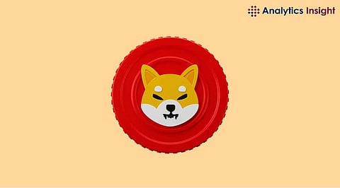 Shiba Inu’s Burn Rate and Growth Roadmap: What Investors Should Know