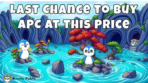 Best Meme Coins to Buy Now