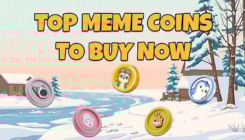 4 Top Meme Coins to Buy Now for Massive Gains and Long-Term Profitability