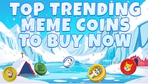 Looking for the Next Big Crypto? 6 Best Meme Coins with 100x Potential to Consider