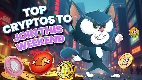 Troller Cat