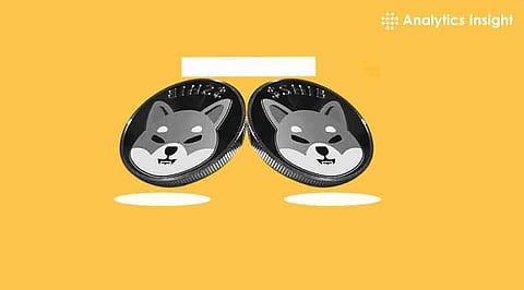 Shiba Inu (SHIB) Stable for Now, But Missing a Major Catalyst