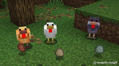 Minecraft Chicken Variants: Easy Step-by-Step Guide to Find All of Them