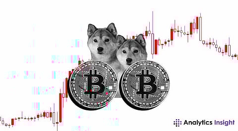 Bitcoin Analyst Explains Why SHIB Won't Hit $1 Anytime Soon