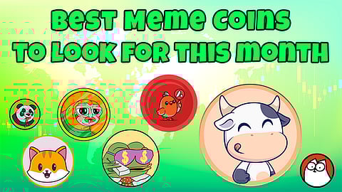 Top 10 Meme Coins to Watch Now: BTFD Coin Nears Final Presale Stage With $0.006 