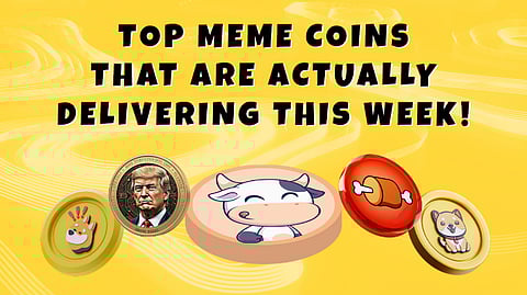 FINAL100 Is Here—BTFD Coin Joins the Best Meme Coin Presales to Buy This Week [Can It Catch Up to WIF and Bonk?] 