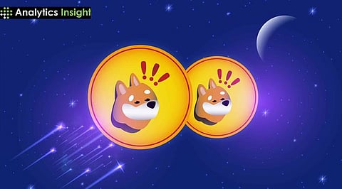  Solana’s Meme Coin Boom: A New Era for Scalable Blockchains