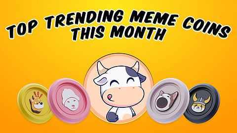 2-for-1 Bonus! BTFD Is the Alpha Drop Among the 6 Best New Meme Coins to Buy Today—ACT Isn’t Playing Around Either
