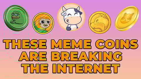 Top 5 Meme Coins to Buy and Hold—BTFD’s 2900% Surge, SKIDOG’s Chaos, BRETT’s Banter and More You Can Still Ape Into