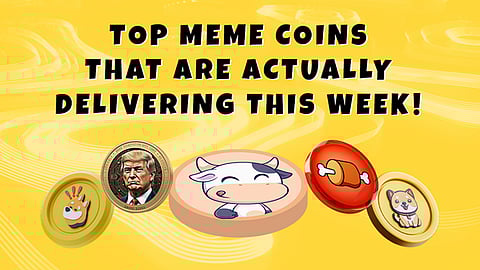 6 Best Meme Coins to Invest in Now Before the Next Bull Surge—BTFD's 2900% Moon Math, MELANIA’s Mystery, and SLERF's Rally Turning Heads