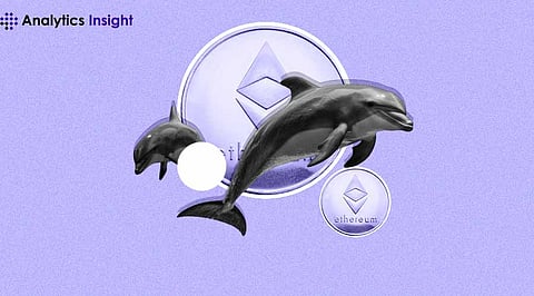 Ethereum Whale Activity Soars - Is Now the Best Time to Buy?