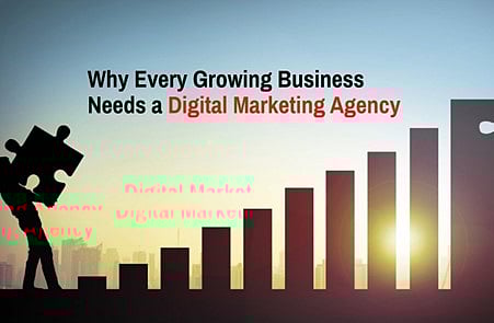 Why Every Growing Business Needs a Digital Marketing Agency