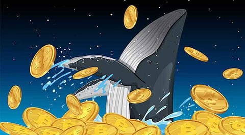 AI-Powered Crypto Whales: Are Secret Trading Bots Manipulating the Market?