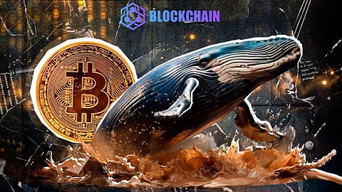 Bitcoin (BTC) price is about to break through $100,000, how to make $7,000 a day with Blockchain Cloud Mining