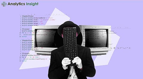 Top Programming Languages for Beginners