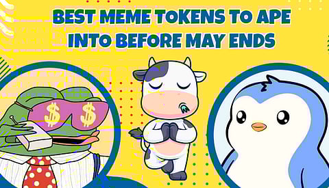 Crypto Analysts Predict BTFD Could 29x—Act Before May 26 and Join the Top 10 Meme Coins Like DOGE, NOT, and More!