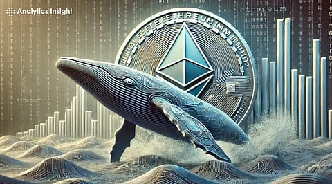 Ethereum Whales Are Tracking This Token Set for 4000% Gains