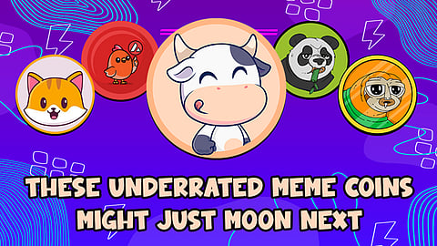 best meme coins for long-term investment
