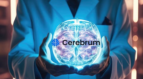 Cerebrumiq Claims to Offer an Honest IQ Test. Is That True?