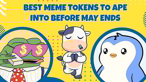 9000% Gains? BTFD’s 3X Bonus Presale Ends May 26—Top 10 Meme Coins You’ll Regret Not Buying in 2025 Like PENGU and GIGA
